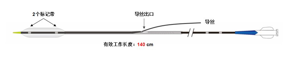 博荷® Bhmintbh 肺动脉球囊扩张导管(图2)